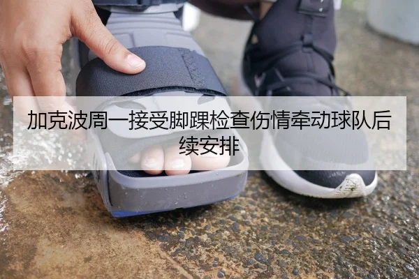 加克波周一接受脚踝检查伤情牵动球队后续安排